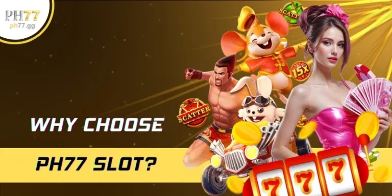 Trường gà với hai chú gà chọi